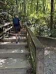 IMG_1825