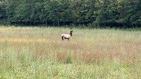 IMG_1864