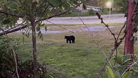 IMG_1791