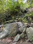 IMG_1796