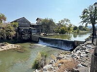 IMG_1798