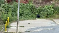 IMG_2025
