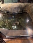 IMG_2262