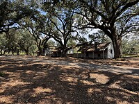 IMG_2670