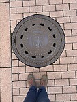 IMG_4212