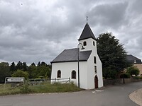 IMG_4235