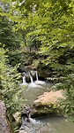 IMG_4241
