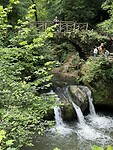IMG_2975
