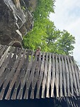 IMG_2977