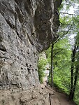IMG_2980