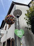 IMG_3137