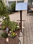 IMG_4517