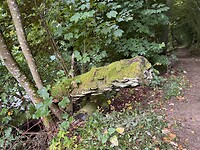 IMG_4626