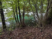 IMG_4627