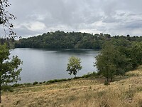 IMG_3203
