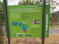 IMG_4634