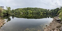 IMG_4649