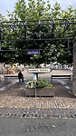IMG_4659
