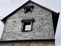IMG_4661
