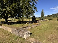 IMG_4666