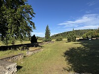 IMG_3227