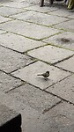IMG_4730
