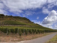 IMG_4751