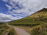 IMG_4752