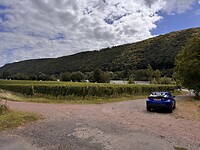IMG_4753