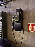 IMG_4765