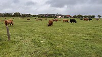 IMG_4771