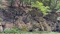 IMG_4774