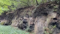 IMG_4777