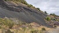 IMG_4780
