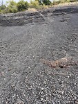 IMG_4781