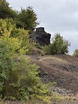 IMG_4782