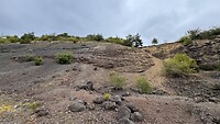 IMG_4783