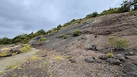 IMG_4784