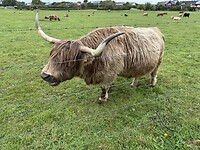 IMG_3278
