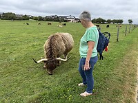 IMG_3279