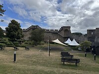 IMG_3288