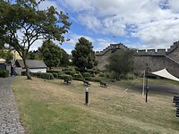IMG_3289