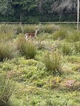 IMG_4812