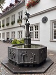 IMG_4867