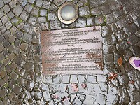 IMG_4871