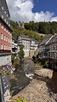 IMG_4884