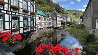 IMG_3330