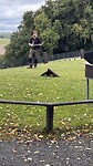 IMG_4939