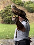 IMG_4956