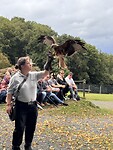 IMG_4958